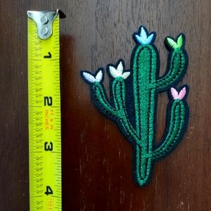 4" Green Cactus Patch